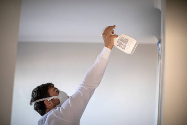 Best Emergency Mold Removal  in Sandstone, MN