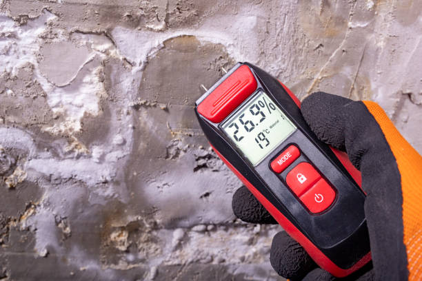Best Mold Remediation  in Sandstone, MN