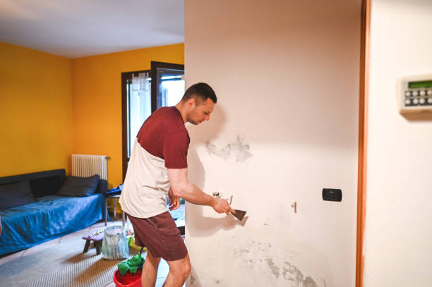 Best Affordable Mold Removal  in Sandstone, MN